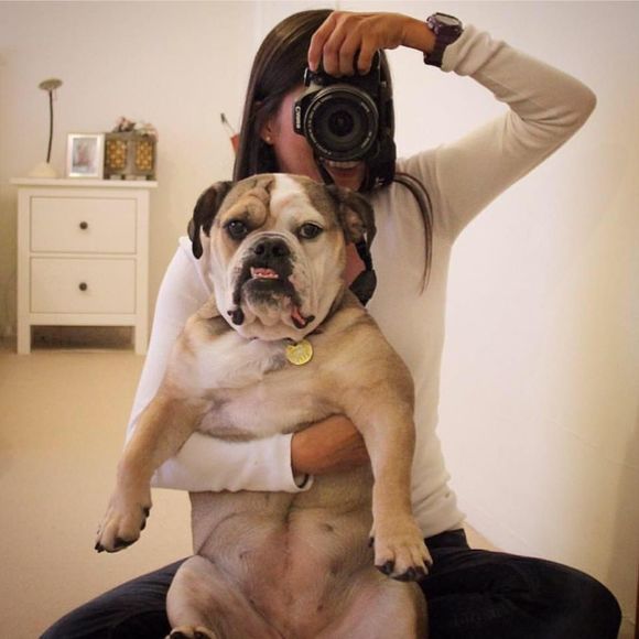 Meet your Posher, Victoria - Picture 1 of 1